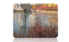 Linkon - Holding-Type Green Algae Remover