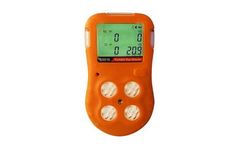 Hanwei - Model BX616 - Portable 4 Gases Detector