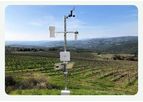 Netsens - Model VineSense - IoT Units for Viticulture