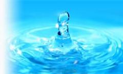 Solid Waste & Hazardous Waste Management service