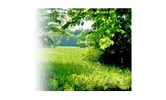 Enviromental Due Diligence Service