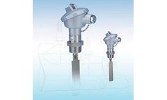 A.YITE - Model GE-341 - ATEX Explosion Proof Bidirectional Paddle Flow Switches