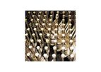 Bubbling Fluidized Bed Boiler
