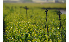 Netafim - Model SuperNet  Dynamic - Micro Sprinkler