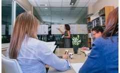 Consulting Project Management Services