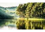 Water & Energy Savings