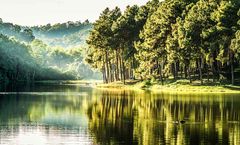 Water & Energy Savings