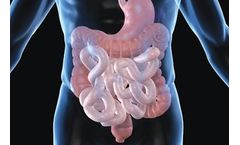 DigeSEB Line - Digestive Enzyme