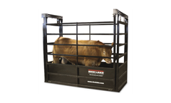 RoughDeck - Model SLV - Floor Livestock Scales