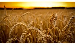 Damaging Human Impact on the Land ‘Unsustainable’