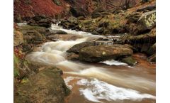 Wild Wiske Revival Project to Improve Water Quality