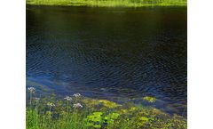 How Does Phosphorus Impact Food & Water Security?
