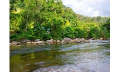 The Impact of Drought on Biodiversity