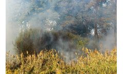 Peatland Burning To Be Banned To Protect Nature-Rich Habitats