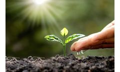 How Will Water Scarcity Affect Food Production In The UK?