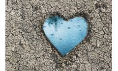 How Can Businesses Tackle The Issue of Reduced Groundwater?