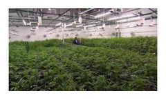Air cleaning system for the agriculture sector