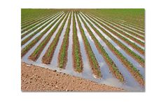 Water Rights Assessment Service