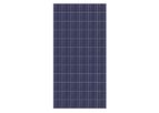 Senwei - Big Poly Solar Panel-550W