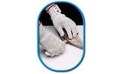 D-Flex - Model B917 - Plus Stainless Steel