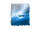 Chlorine Dioxide and Chlorine