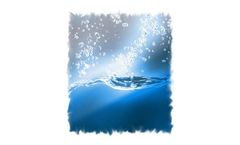 Chlorine Dioxide and Chlorine