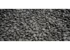 Dust And Sludge Processing