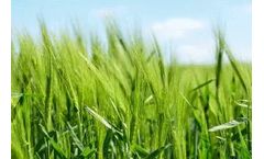 Largest Multi-Customer Microgrid in California to Serve Agriculture Industrial Park