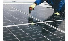 Renewables Jobs Nearly Doubled in Past Decade, Soared to 13.7 Million in 2022