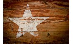 TotalEnergies Starts Up in Texas a 380 MW Utility-Scale Solar Power Plant with Battery Storage