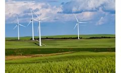 Survey: Business Leaders are Overwhelmingly Positive about the Green Transition