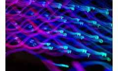 ARPA-E Awards Booz Allen $550m Contract to Support Energy Technology Innovation