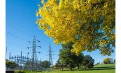 Electric Utility Business Customer Satisfaction Surges as Utilities Step Up Proactive Outreach