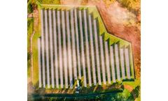 With Demand Soaring, States Look to Community Solar for Jobs, Power, and Stability