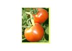 NatureVel - Model AG - Agriculture Microbial Mixture