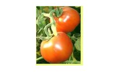 NatureVel - Model AG - Agriculture Microbial Mixture