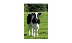 NatureVel - Model AH - Probiotic Feed Supplement for Livestock Nutrition