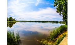Temporary aeration of the Milicz waters prevents large scale fish death