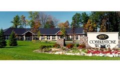 Real Estate Services