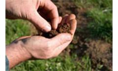 Predicting amount of oil in contaminated soils