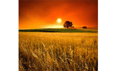 `How will Climate Change Affect Agriculture?