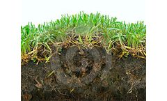 Soil gives away soybean pathogen’s presence