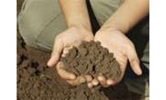 Past, present and future of soil sciences
