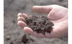 Iron deficiency in soil threatens soybean production