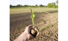 Levels of dioxins in soil and corn tissues after 30 years of biosolids application