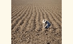 Nitrogen applied
