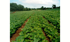A model to measure soil health in the era of bioenergy