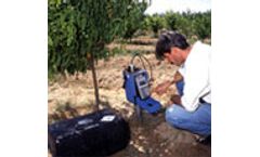 Performance of a new capacitance soil moisture probe in a sandy soil