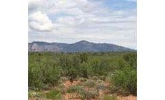 Track soil particles moving through watershed