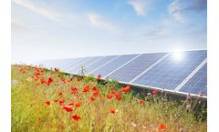 BELECTRIC - Nature Compatibility Services